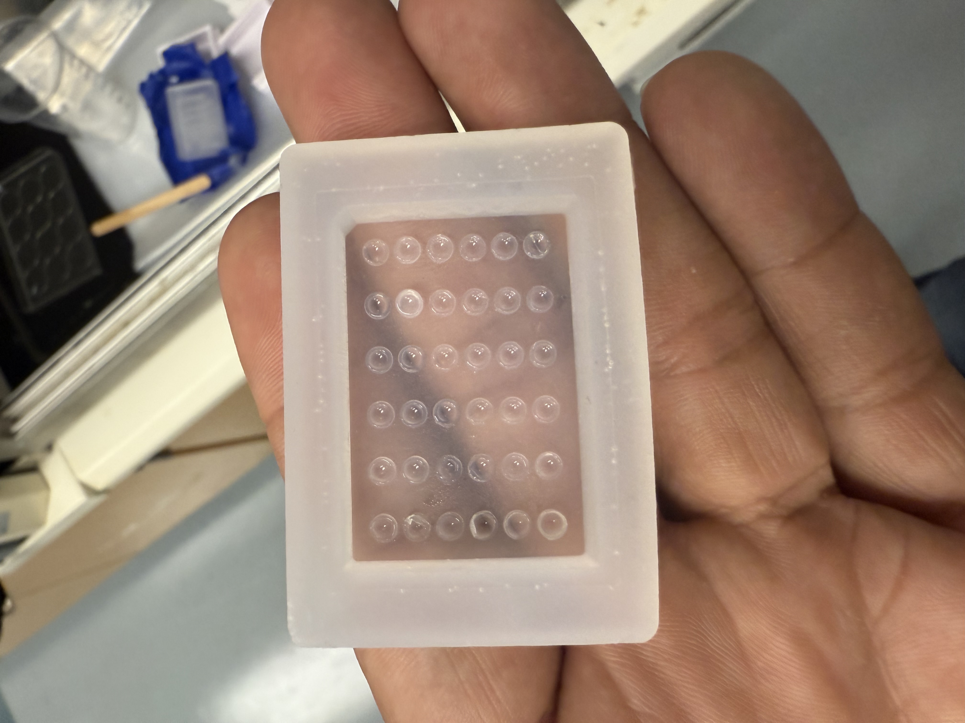 Tissue Microarray Silicone Mold image 3