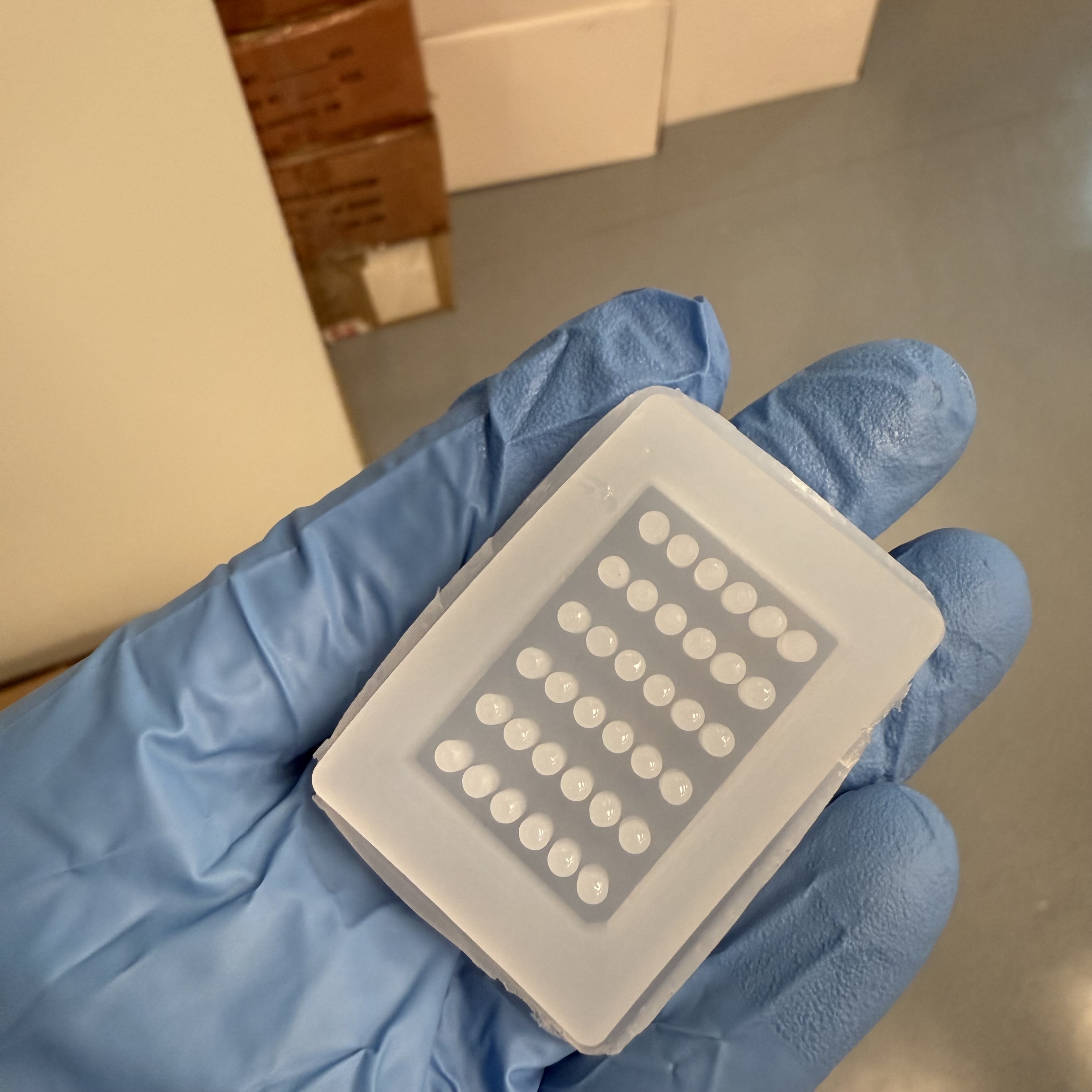 Tissue Microarray Silicone Mold image 4