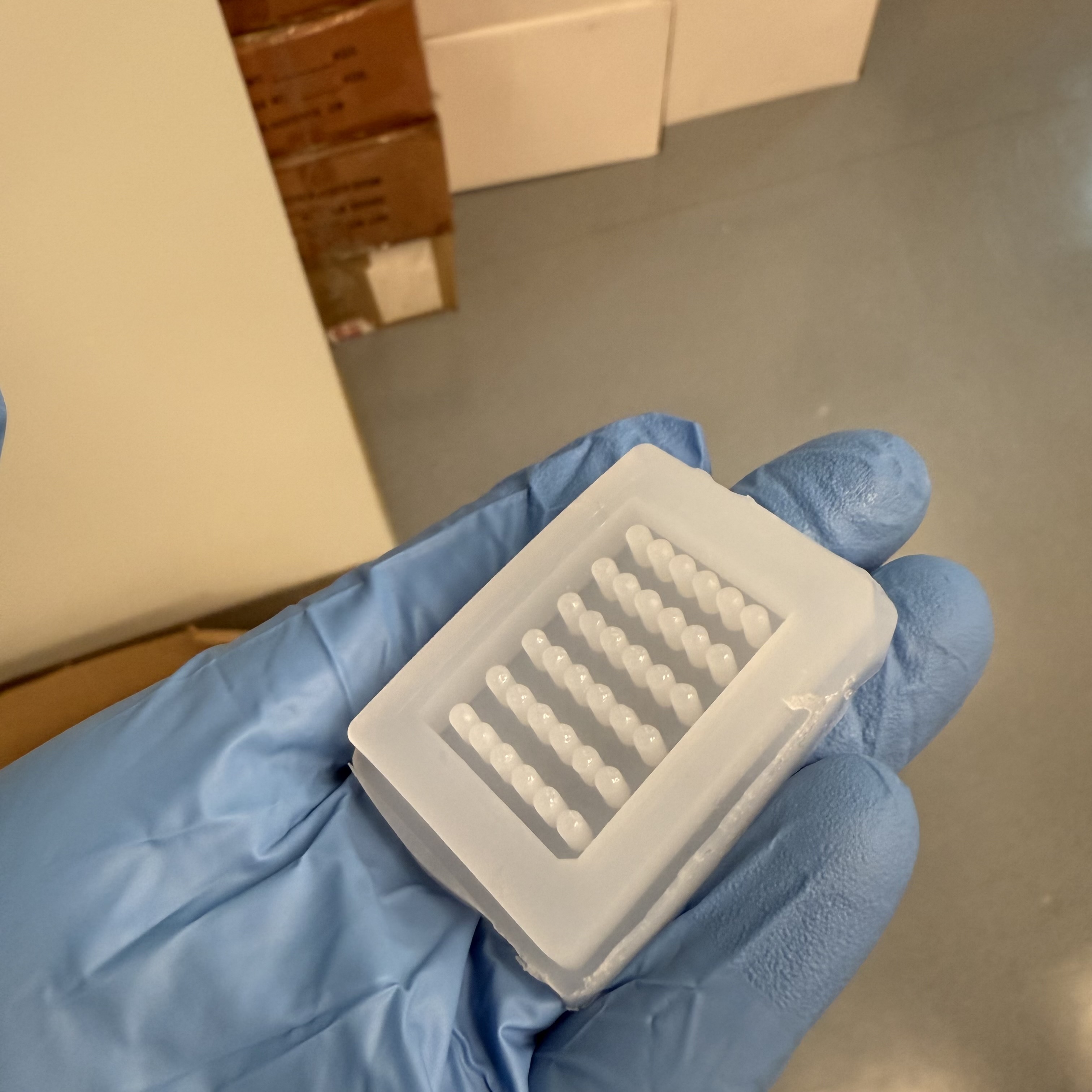 Tissue Microarray Silicone Mold image 5