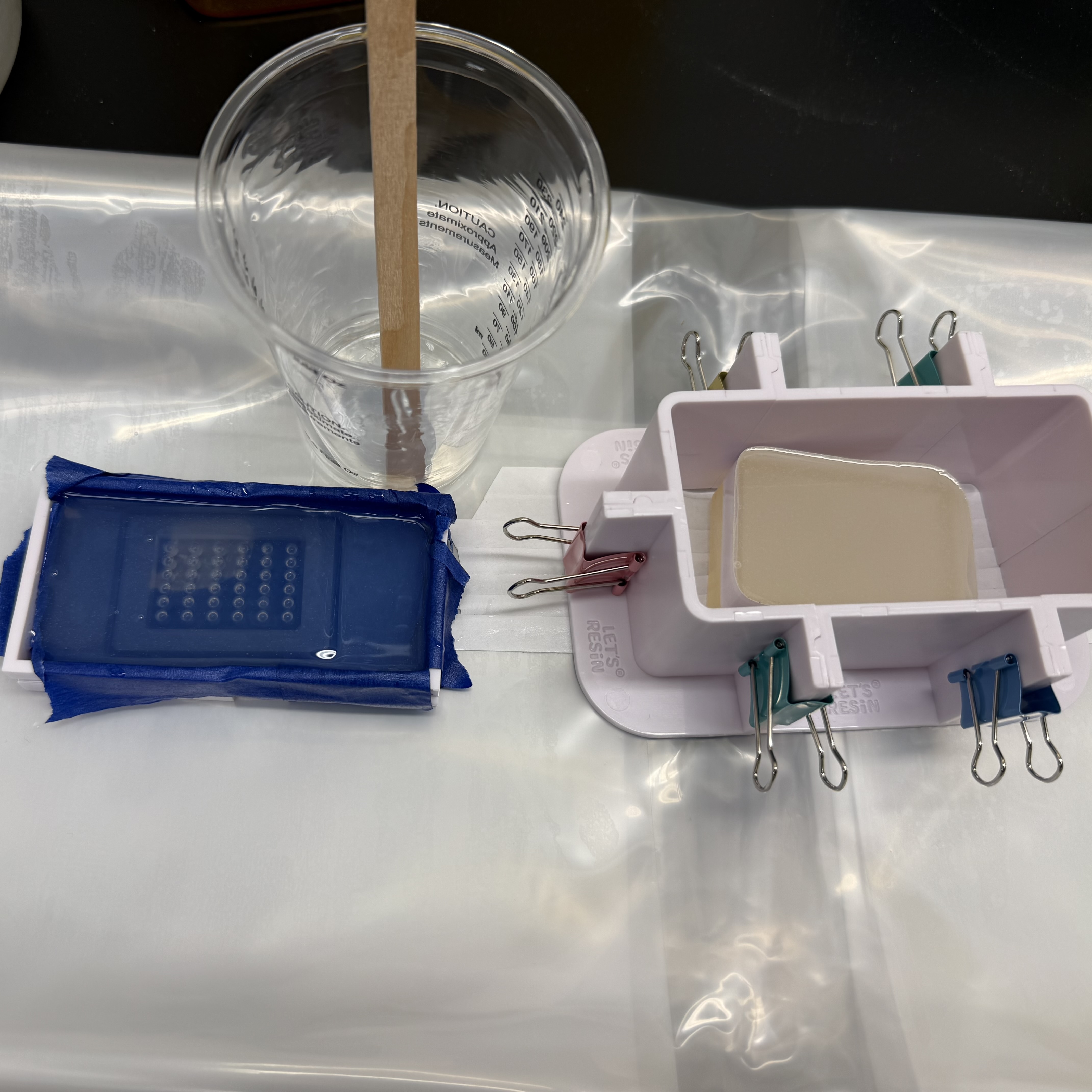 Tissue Microarray Silicone Mold image 2