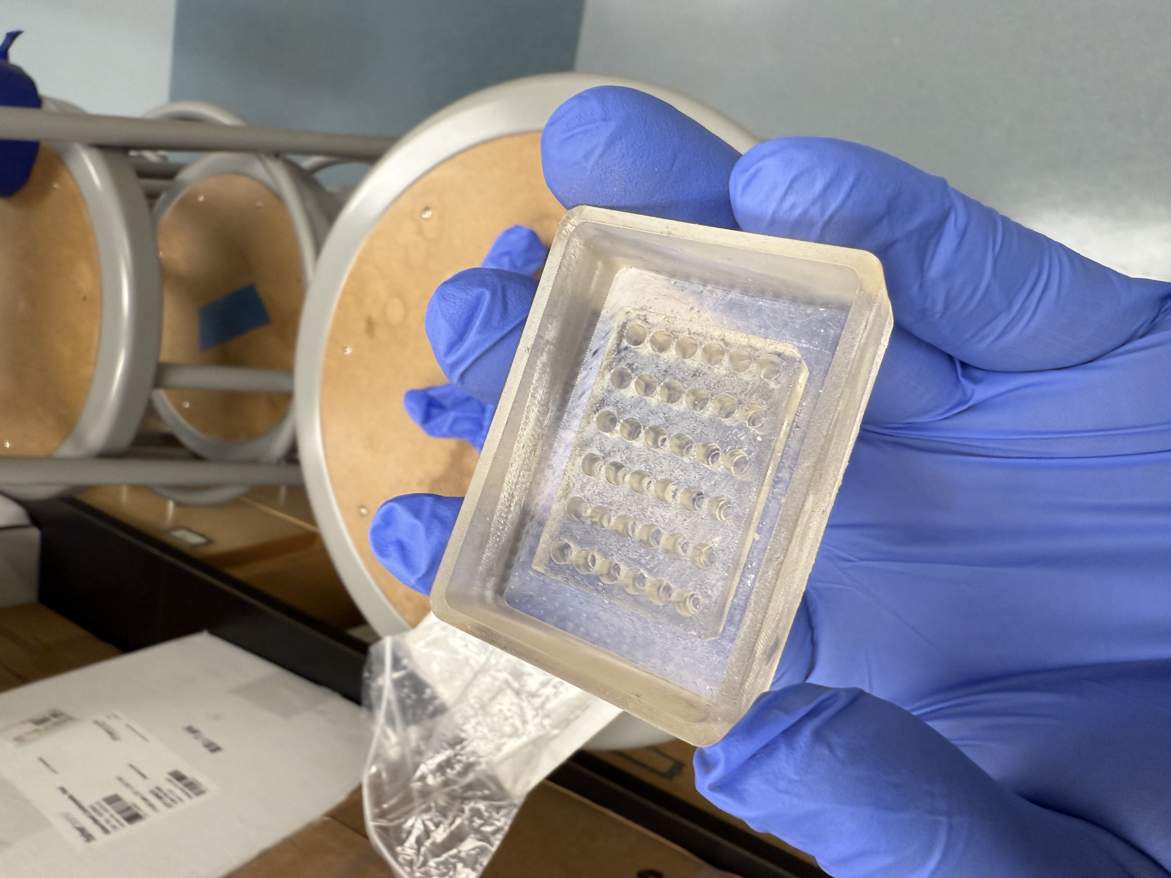 Tissue Microarray Silicone Mold image 1